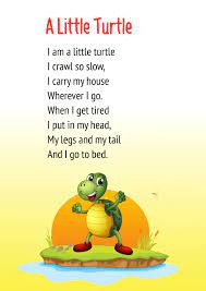 a little turtle poem for cl 1 poem