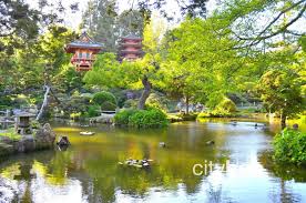 10 best attractions at golden gate park