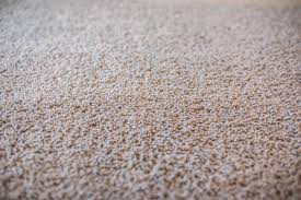 nylon vs polyester carpet which is