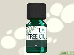 remove lice using tea tree oil