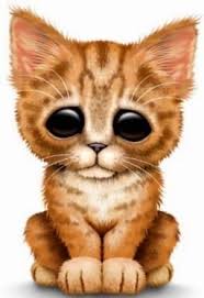 Image result for tabby cat clipart
