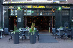 The bulldog coffeeshop in amsterdam has been a household name among the native dutch and among millions of tourists for nearly 4 decades. Amsterdam Coffeeshop Find 110 Coffeeshops In Amsterdam Centre