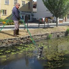 vevor pond rake 16 in aquatic weed