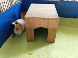 toys for guinea pig wooden hideout s