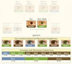 35 Explanatory Eye Color Chart With Pictures