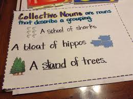 List Of Collective Nouns Anchor Chart Interactive Notebooks