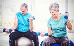 exercises to build muscles for seniors