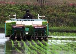 Teknologi Pertanian yang Di Terapkan di Indonesia
