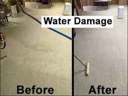 photo gallery page 1 cleaning carpets