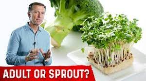 5 benefits of broccoli sprouts their