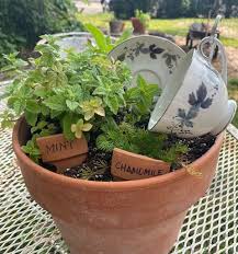 Herbal Tea Garden Work At The