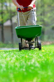 Ensure that you cut your grass shorter than usual and remove. How To Overseed A Lawn When To Overseed A Lawn