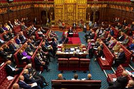 ministers in the house of lords role