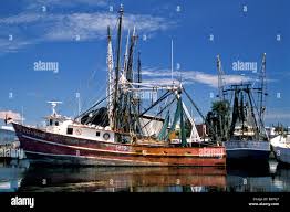 tarpon springs fl shrimp boats docked