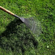 For large lawns, one can rent a dethatcher known as a vertical cutter or power rake. Dethatching Lawns The What Why How And When