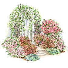 Garden Plans Featuring Roses