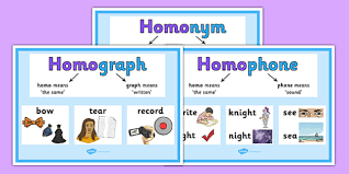 Homograph Homophone And Homonym Explanation Display Posters