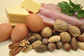 how much protein do you need every day