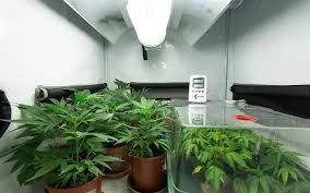Well, it might be expensive, but it is another way if you're out of choices to test. 12 Ideas On How To Increase Humidity In Grow Tent