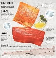 wild caught salmon vs farm raised pros