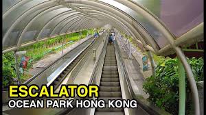 Unless otherwise specified, all materials on this page are taking the escalator originals. 4k 2nd Longest Escalator In The World Ocean Park Hong Kong Youtube