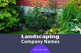 455 Landscaping Company Name Ideas That
