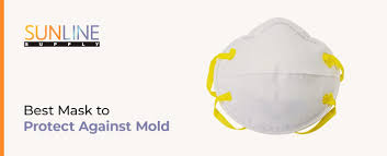 best mask to protect against mold