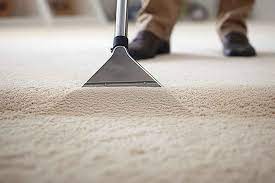 carpet cleaner al at publix