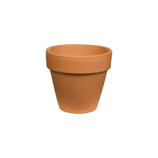 terra cotta clay pot
