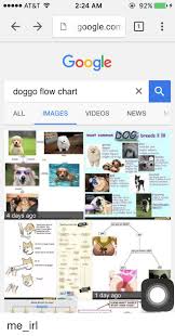 224 Am 92 At T D Googlecom Google Doggo Flow Chart All