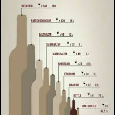 Wine Bottle Size Chart In 2019 Wine Facts Bottle Sizes
