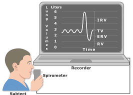 lung volumes and capacities getbodysmart