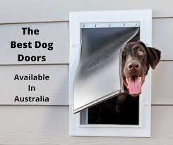6 Best Dog Door Options Australia 2022