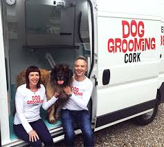 Explore other popular pets near you from over 7 million businesses with over 142 million reviews and opinions from yelpers. Dog Grooming In Cork Mobile Dog Groomers Cork Doggroomingcork Ie