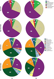 Pie Chart Of Percent Mean Relative Abundance Of Microbial
