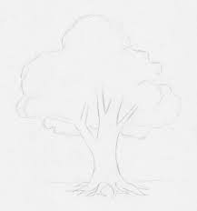 Coole bilder zum zeichnen bilder zum . Laub Baum Zeichnen Lernen Zeichenkurs