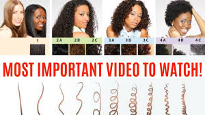 Everyone's hair is different and has specific needs and best practices to achieve healthy, moisturized, and defined hair. Natural Hair Types Tips Curl Pattern Texture Density Porosity Protein Sensitive Youtube