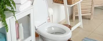 Replace internal components or add a lavish touch with beautifully crafted flush handles and push buttons. Best 10 Inch Rough In Toilet Reviews Swankyden Com