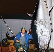 Tunas vary considerably, both within and among species. Bluefin Tuna Records On The Water