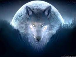 I need friends, family, and the pack of wolves ! Free Download Fantasy Wolf Wallpaper 16 1024 X 768 Stmednet 1024x768 For Your Desktop Mobile Tablet Explore 54 Wallpaper Of Wolf Wolf Wallpapers And Screensavers Wolf Images Free Wallpaper Images Of Wolf Wallpapers