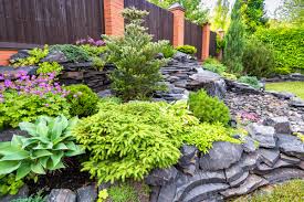 how to create a rock garden a guide to