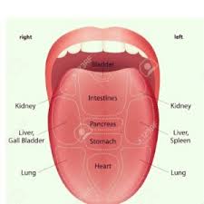 Ayurvedic Tongue Analysis Ayurvedic Digestive Health