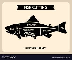 Fish Meat Cutting Vintage Chart Cuts Guide