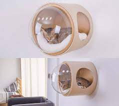 Wall Mounted Bubble Window Bed