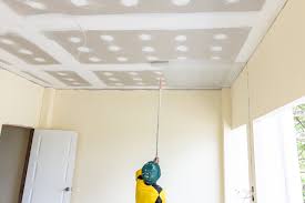 best type of paint rollers for ceilings