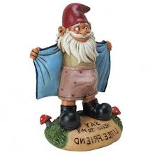 y funny garden gnome statue