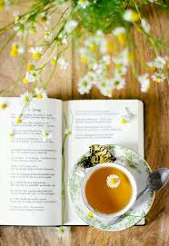 1193 best Tea Time images on Pinterest