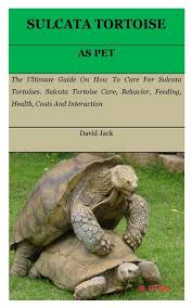 Sulcata Tortoise The Ultimate Guide