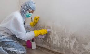 How To Get Rid Of Mold In Basement