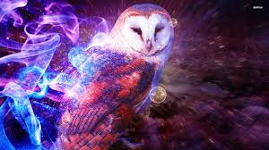 Cool Owl Wallpapers Group 72